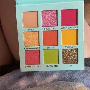 The “Joey” mini pallet from revolution makeup x F.R.I.E.N.D.S the tv series